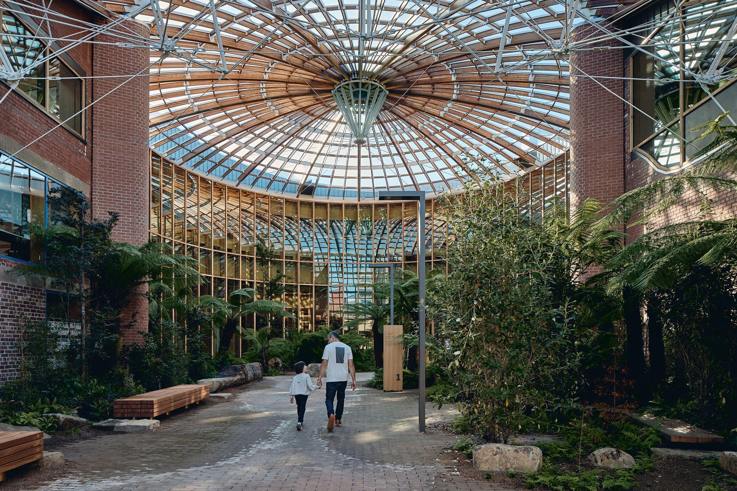 Retaining existing heritage structures, The Forest demonstrates how adaptive reuse can reduce embodied carbon while creating a contemporary learning environment.
